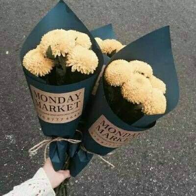 澳门4949资料免费大全手机app下载