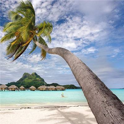 快三买大小的正规平台