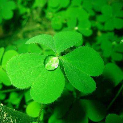 百人牛牛游戏软件手机app下载